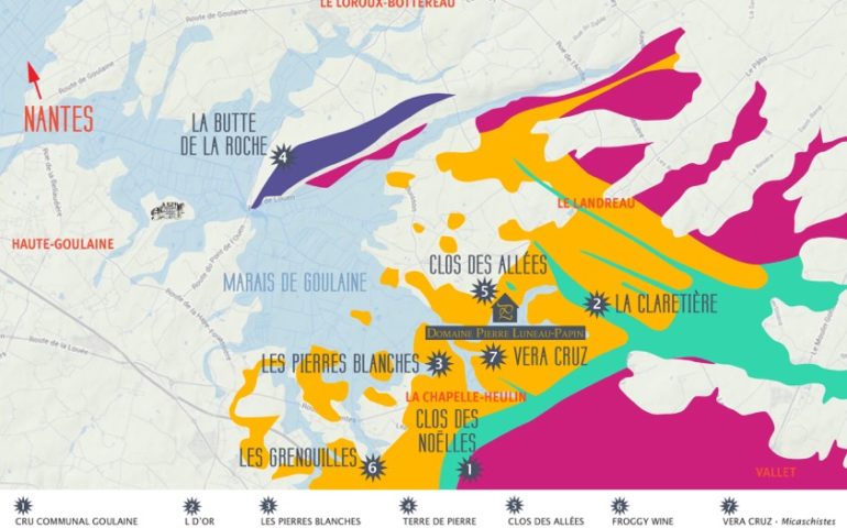 Plan1 - Domaine Luneau Papin